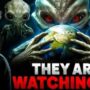 Why ALIENS could presumably perhaps be WATCHING us | The ZOO & LABORATORY HYPOTHESIS Explained